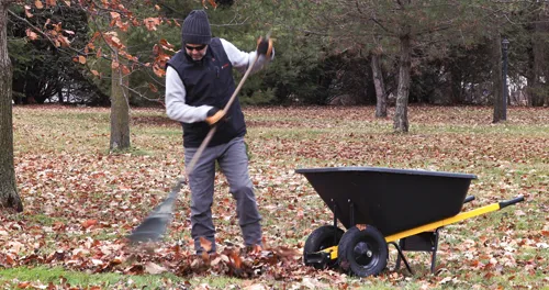 A person rakes leaves into a wheelbarrow on a lawn with trees in the background. The person is wearing a black hat, sunglasses, black vest, gray shirt, gray pants, and gloves.