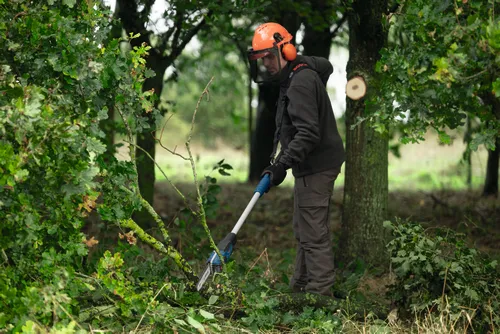 The worker using the Bosch GKE18V-25TP 18V 10 In. Pole Chainsaw to cut small branches from a tree on the ground.