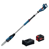 The Bosch GKE18V-25TPN18X 18V 10 In. Pole Chainsaw (Kit) on the product image dynamic view.