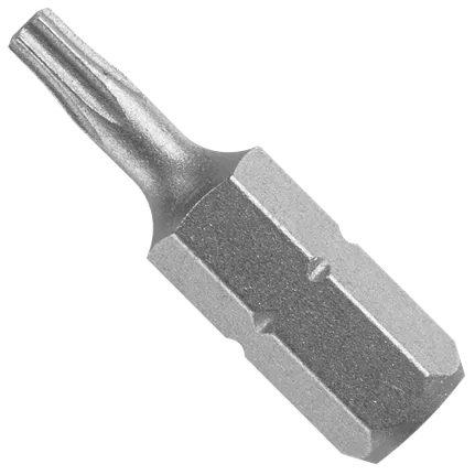 1 In. Torx® Security T10H Insert Bit (Bulk)