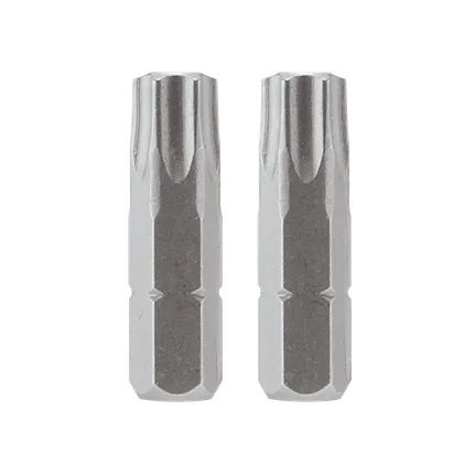 Extra Hard 1 In. Torx® Security insert bit, T40H point