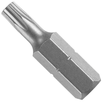 Extra Hard 1 In. Torx® Security insert bit, T20H point