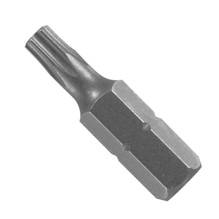 1 In. Torx® T20 Insert Bit (Bulk)