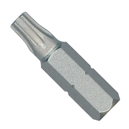 1 In. Torx® Security T40H Insert Bit (Bulk)