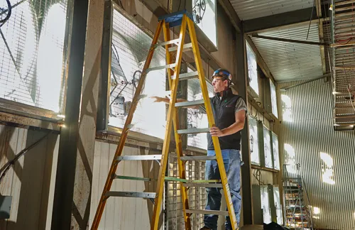 Person wearing safety glasses and a vest, standing on a yellow ladder, reaching towards a window with a metal grate.