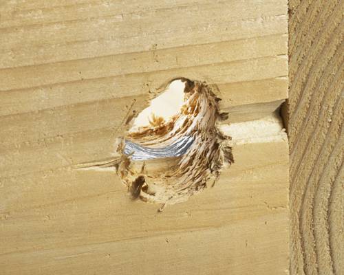 bosch nail strike bit hole