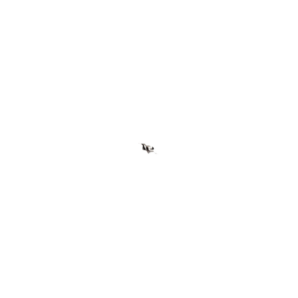 9/16 In. x 13 In. SDS-max® SpeedX™ Rotary Hammer Bit