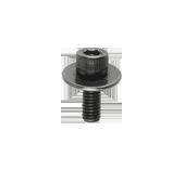 Accessory Mounting Screw and Belleville Washer (MDP)